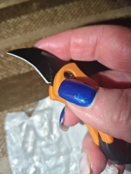 Imagen de reseña 3