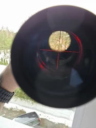 Imagen de reseña 5