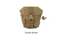 Coyote Brown