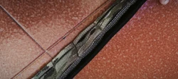 Imagen de reseña 4