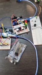 Imagen de reseña 3
