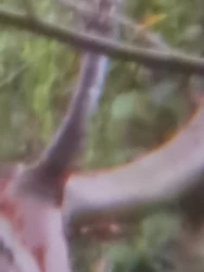 Imagen de reseña 5
