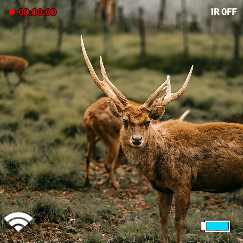 Dispositivo de visión nocturna FIRE WOLF con aplicación Wifi, mira telescópica NV de alcance de 200M, visión nocturna IR para cámara óptica de rastreo de caza - imagen 3