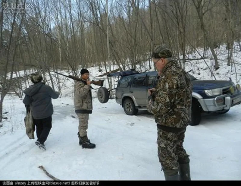 Carga - Función de trabajo de carga