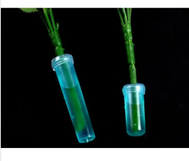 Tubos de tallo único para recoger agua, Ideal para mantener las flores frescas, nueva Flora fresca - imagen 5