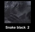 dark black Snake