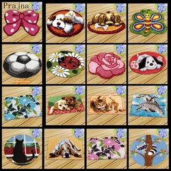 Kit latch hook animales – Alfombra tejida DIY manualidades