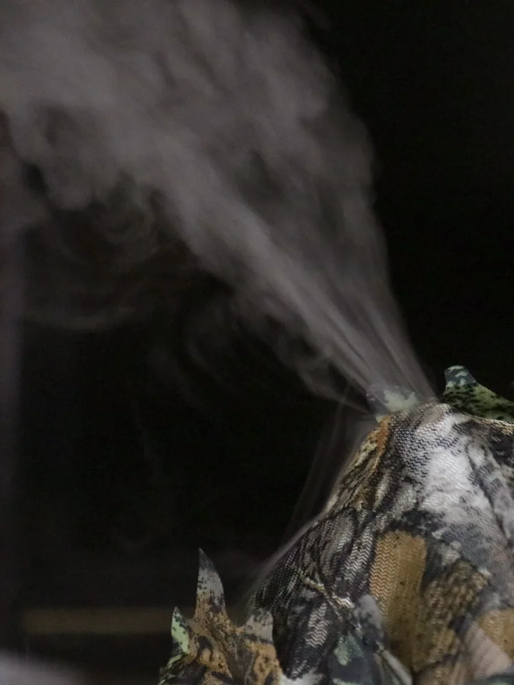 Traje de caza de camuflaje biónico, traje Ghillie de poliéster transpirable, Hojas de arce 3D, fotografía, observación de aves, ropa de entrenamiento - imagen 5