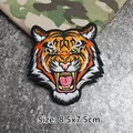 Tiger Head