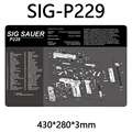 SIG P229