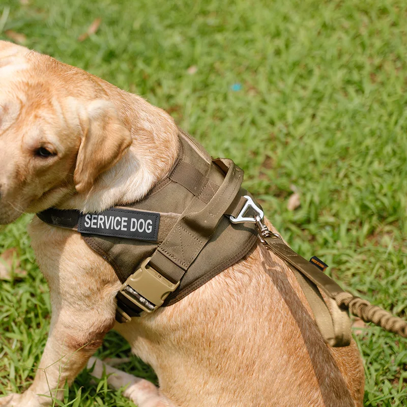 Sistema ajuste - Hebillas rápidas