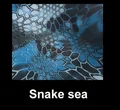 Snake sea
