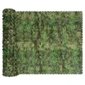 Green Zone