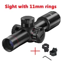 sight with 11 mount