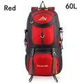 Red 60L