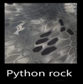 Python rock
