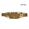 DD Big