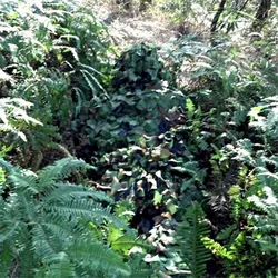 Traje Ghillie 3D – Camuflaje hojas selva