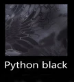 Python Black