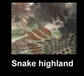 highland Snake