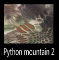 Python mountain 2
