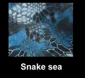 Snake sea
