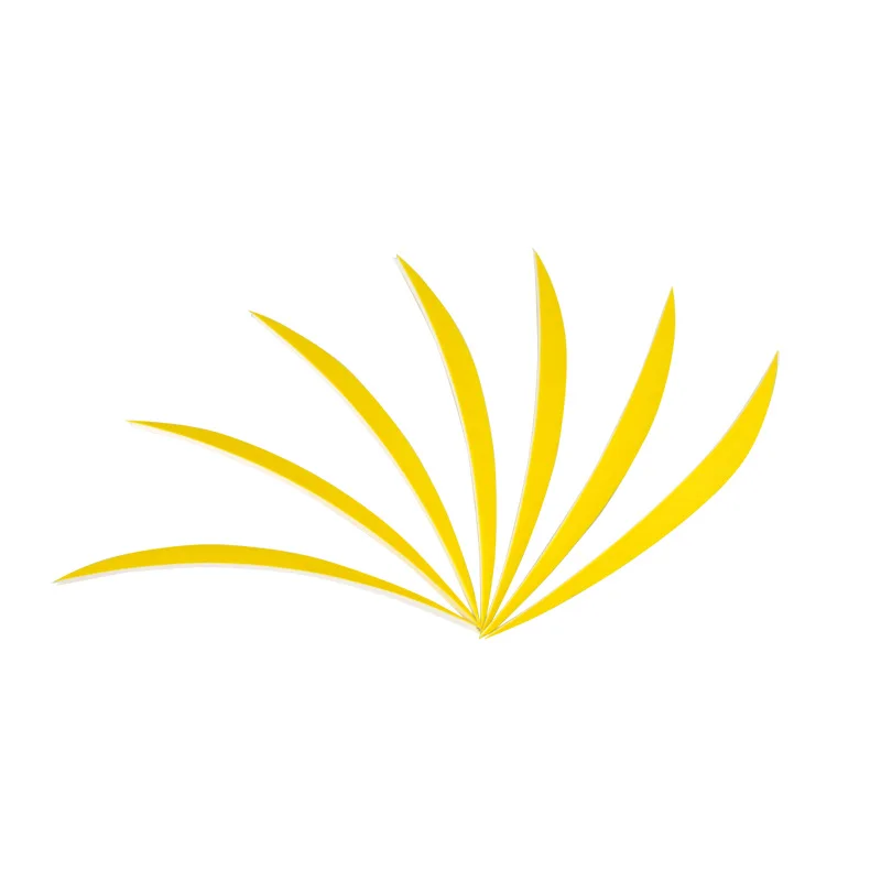 Plumas de pavo para tiro con arco, 100 piezas, 5 pulgadas, alas derechas, flechas, herramientas de bricolaje, arco de tiro de caza al aire libre y accesorios de flecha - imagen 4