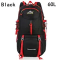 Black 60L