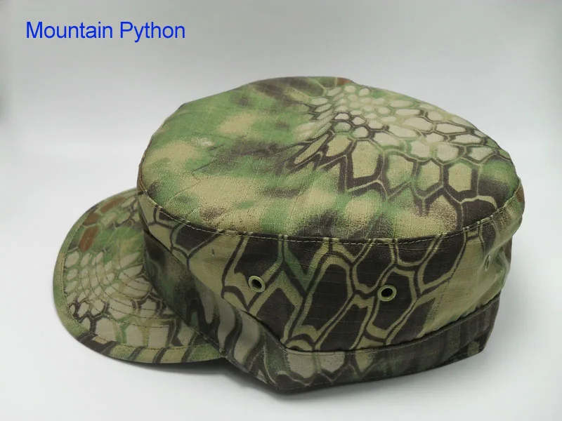 Mountain Python