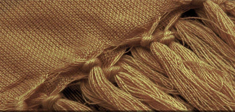 1881500709_18112122891