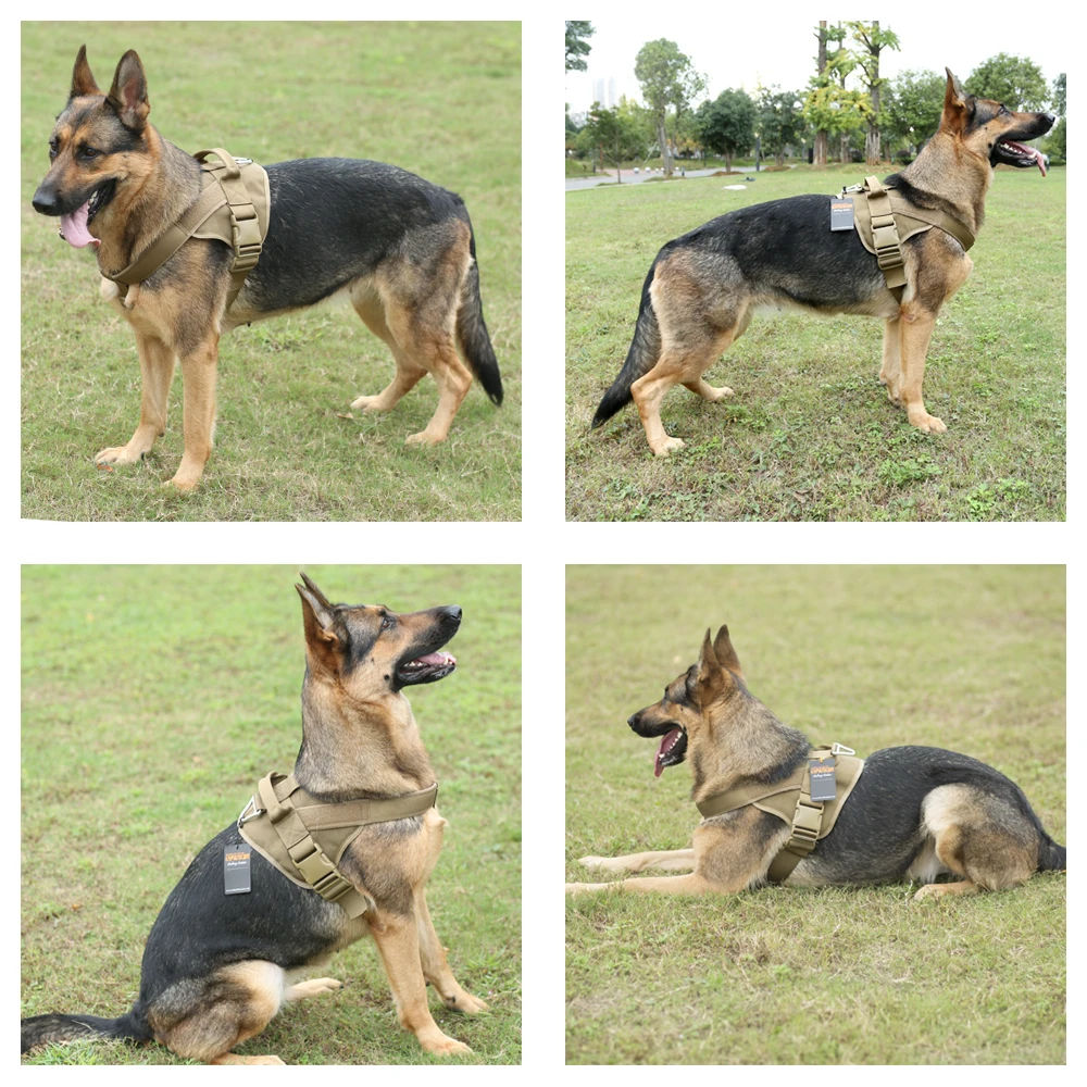 Panel identificación - Sistema parches