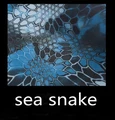 Sea snake