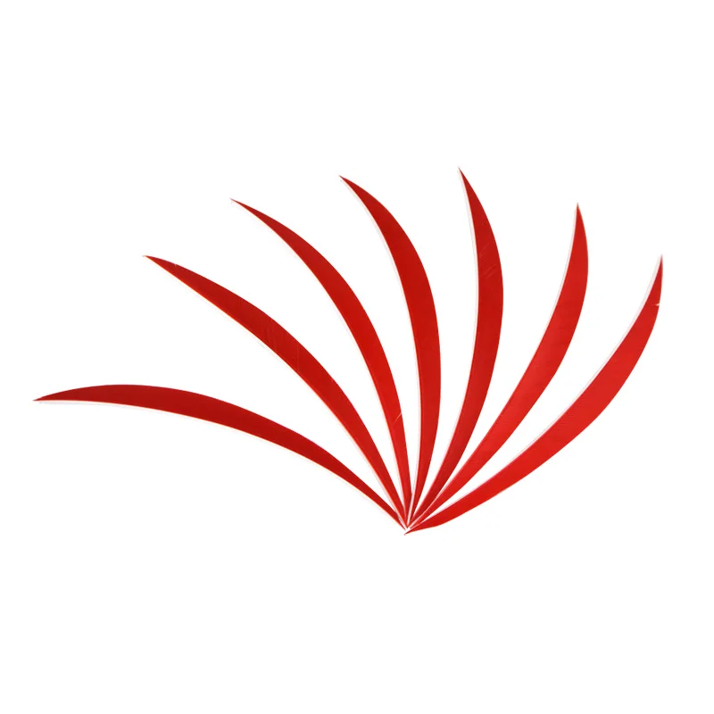 Plumas de pavo para tiro con arco, 100 piezas, 5 pulgadas, alas derechas, flechas, herramientas de bricolaje, arco de tiro de caza al aire libre y accesorios de flecha - imagen 5