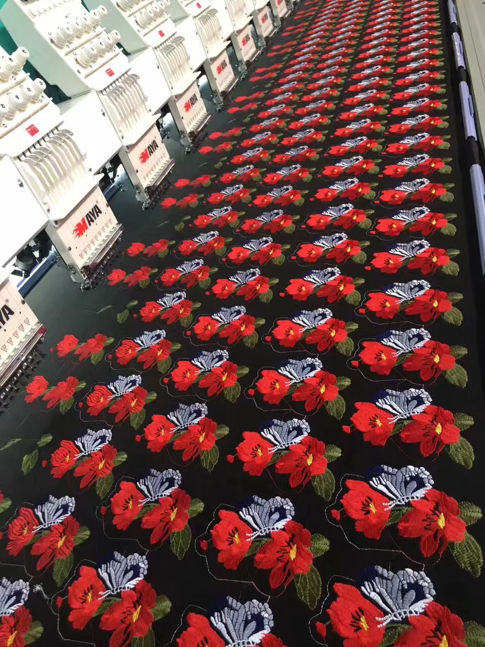 4593425631_355663081