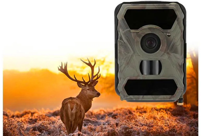 HTB1WcESJpXXXXaaXXXXq6xXFXXXq