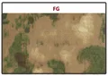FG