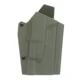 Green Holster