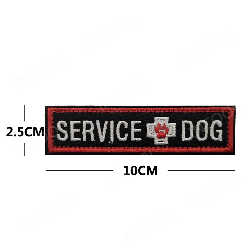 25 Service Dog