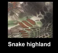 highland Snake
