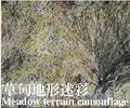 Meadow camouflage