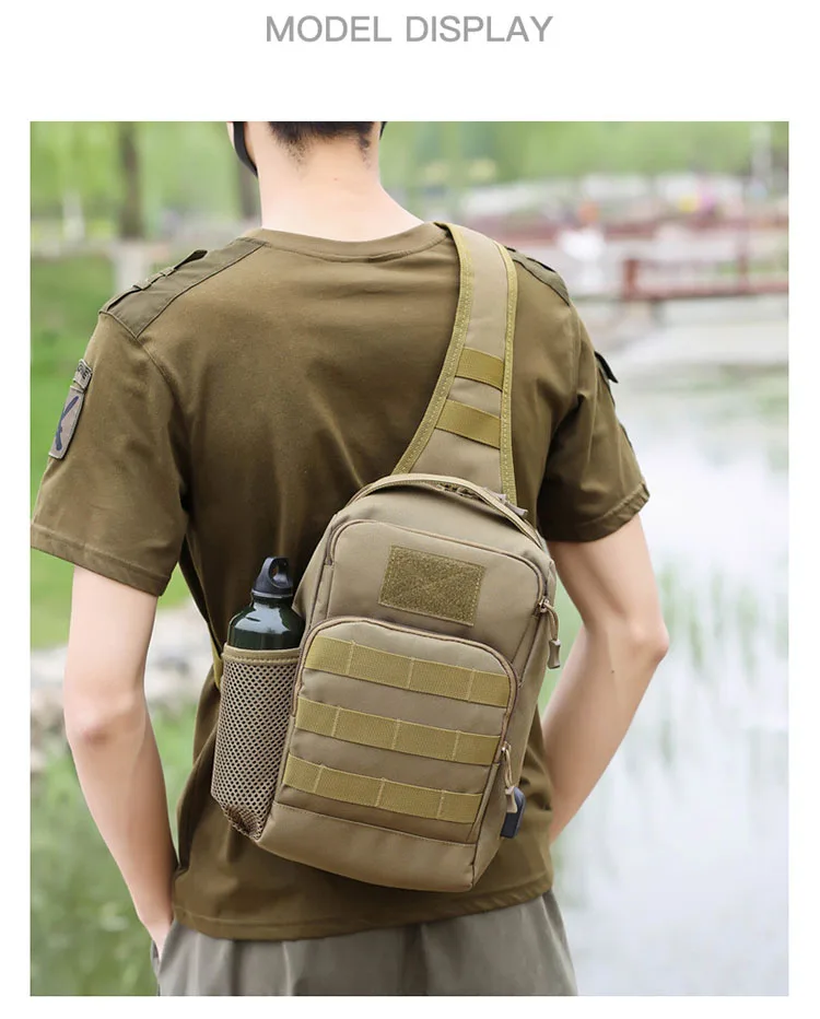 Organización interna - Compartimentos