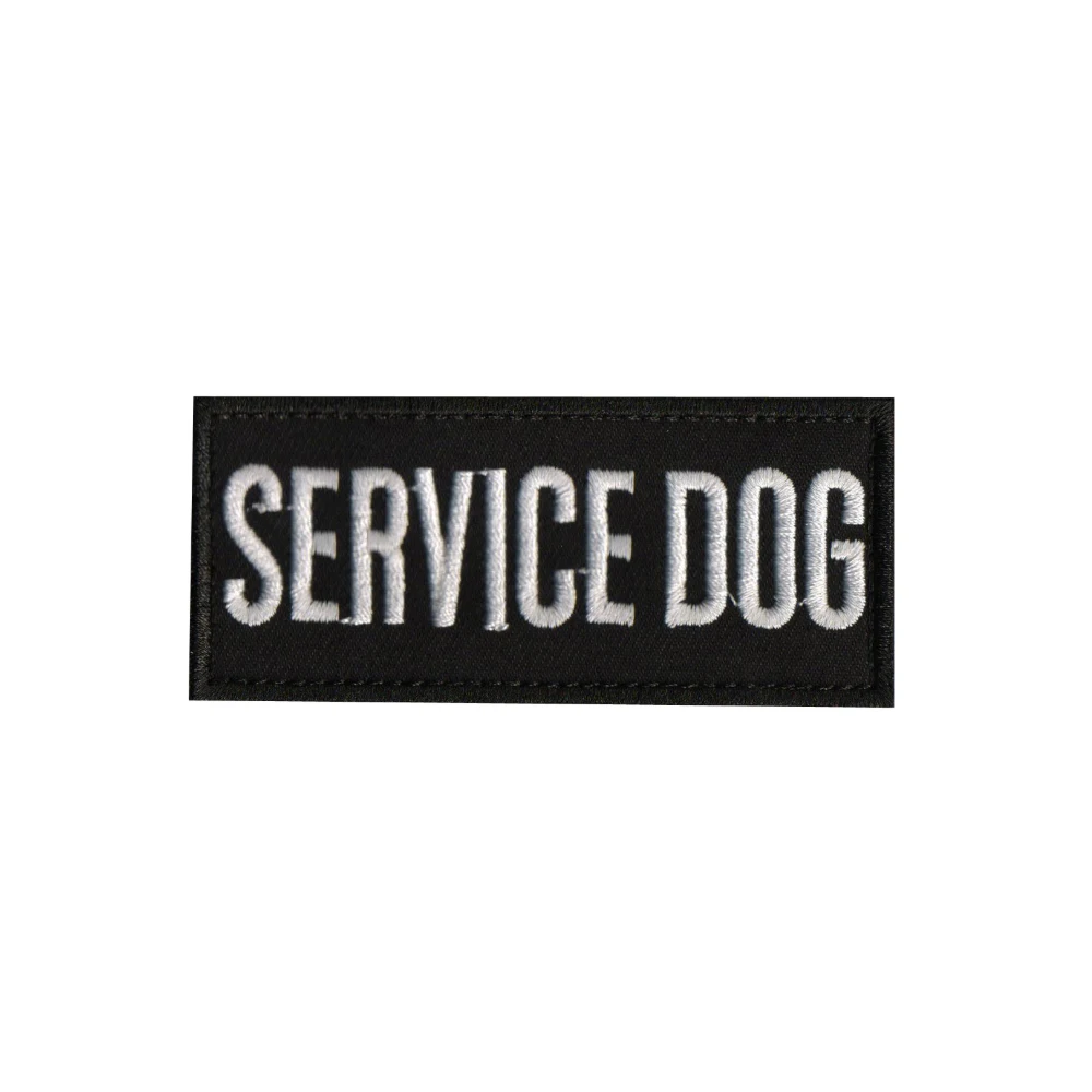 42 Service Dog