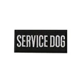 42 Service Dog