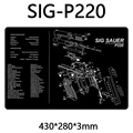 SIG P220