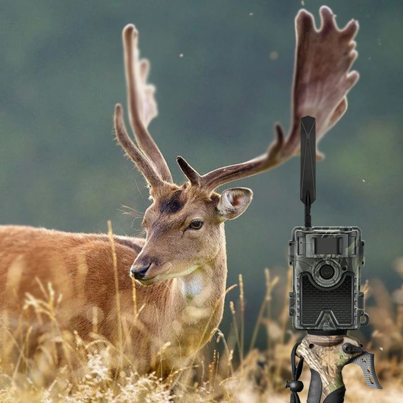 Yugo giratorio 360° - Flexibilidad total