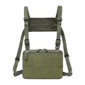 Type 2 Army green