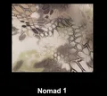 Nomad 1