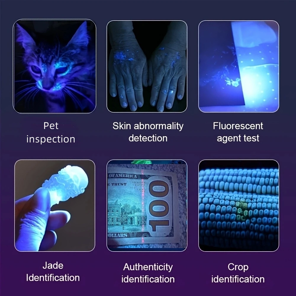 Linterna LED UV de 200W y 365nm, potente linterna de luz negra, recargable por USB, Catdog, tiña, mancha de orina, escorpión, dinero, lámpara ultravioleta - imagen 3