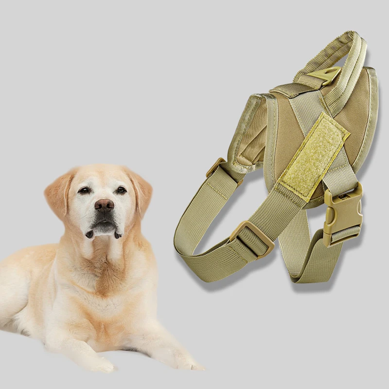 Correa para el pecho para perros, chaleco de cuerda de remolque para perros medianos y grandes, Cubo de pelo dorado Border Collie, arnés para perros con descarga a prueba de explosiones