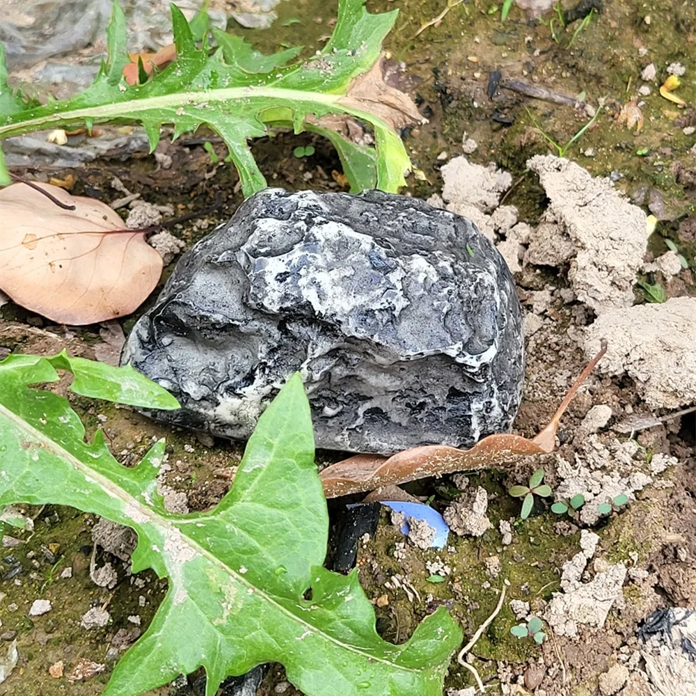 Caja fuerte de resina simulada para dinero, contenedor creativo, decoración de patio, piedra oculta, efectivo, llaves, joyas, pastillas - imagen 2